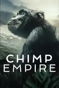 ดูซีรีส์ เรื่อง Chimp Empire อาณาจักรชิมแปนซี (2023)